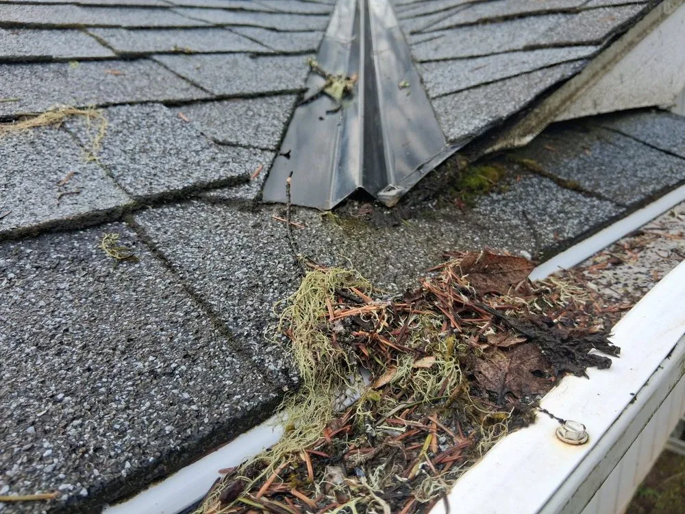 Slide of Leaf Filter