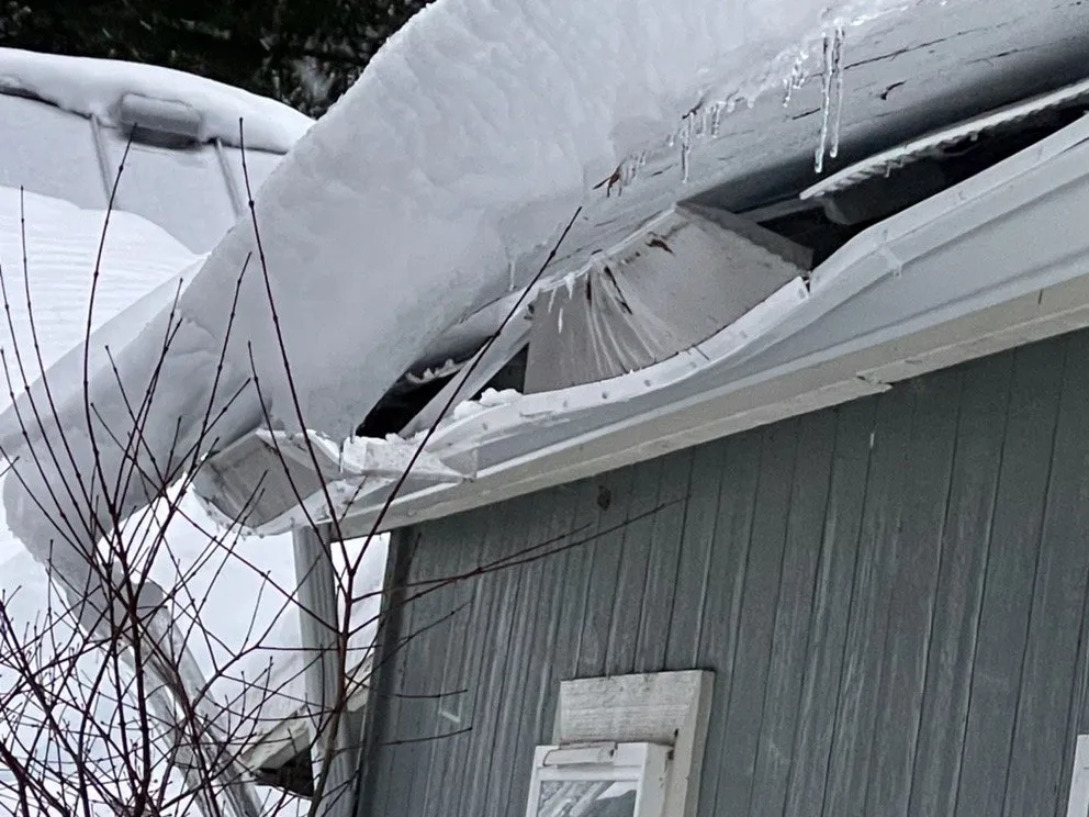 Slide of Leaf Filter