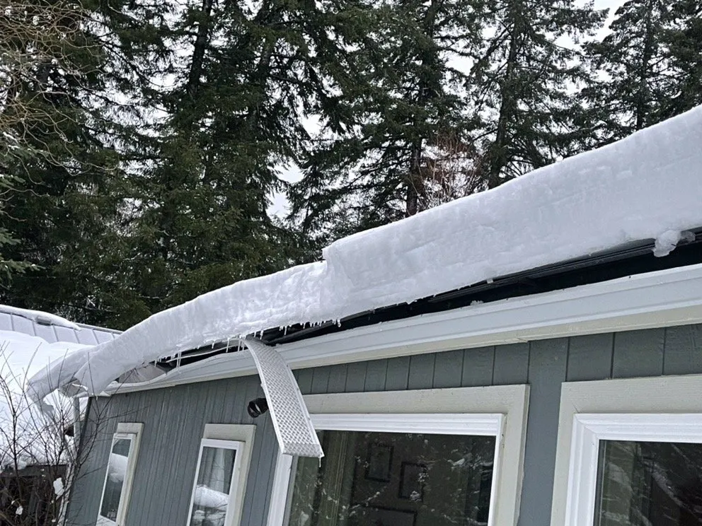 Slide of Leaf Filter