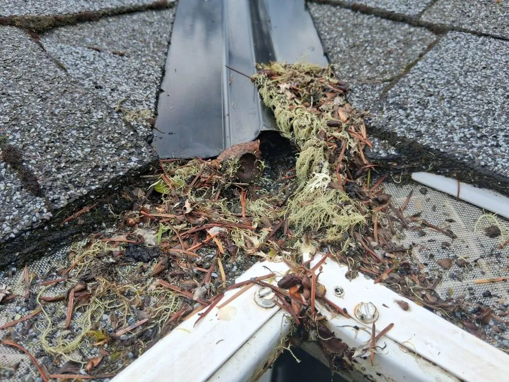 Slide of Leaf Filter