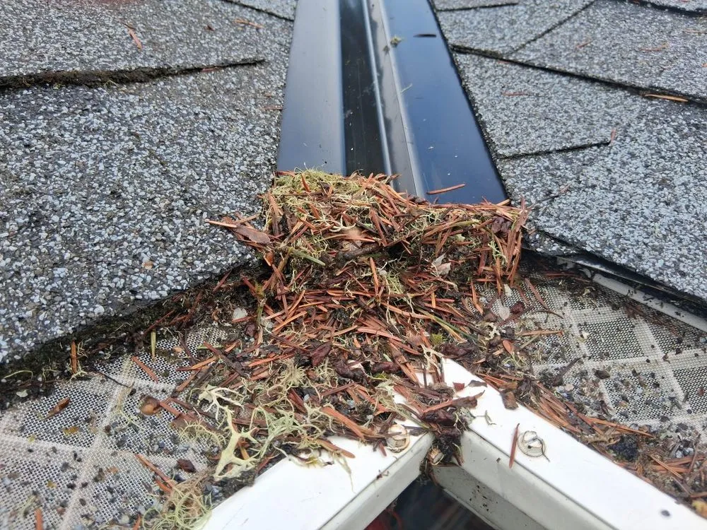 Slide of Leaf Filter