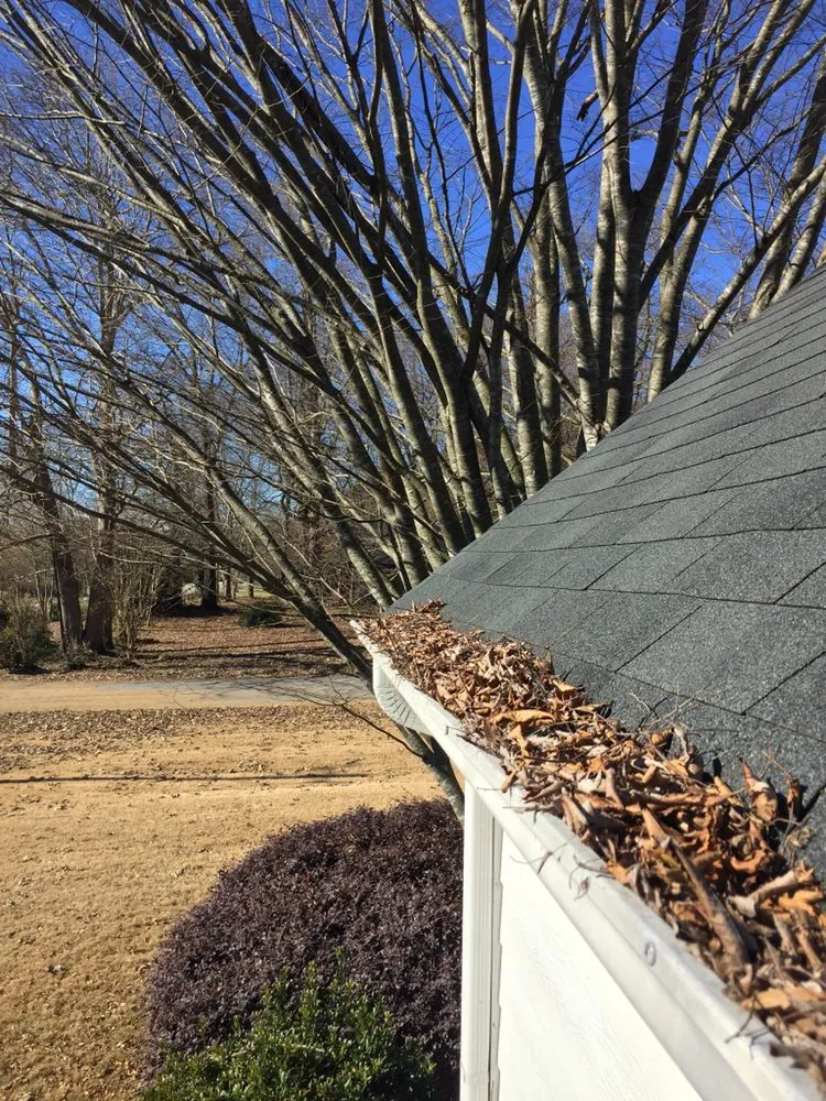 Slide of Leaf It to the Pros