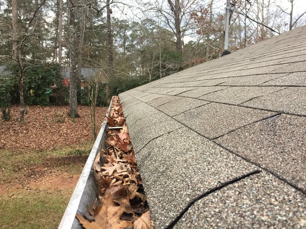 Slide of Leaf It to the Pros