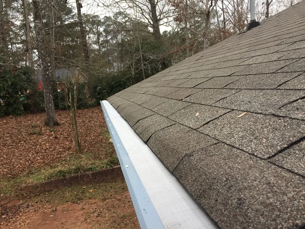 Slide of Leaf It to the Pros