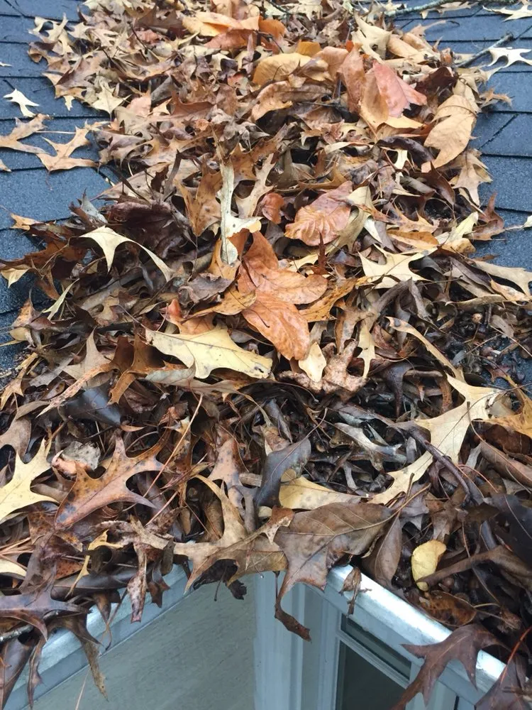 Slide of Leaf It to the Pros