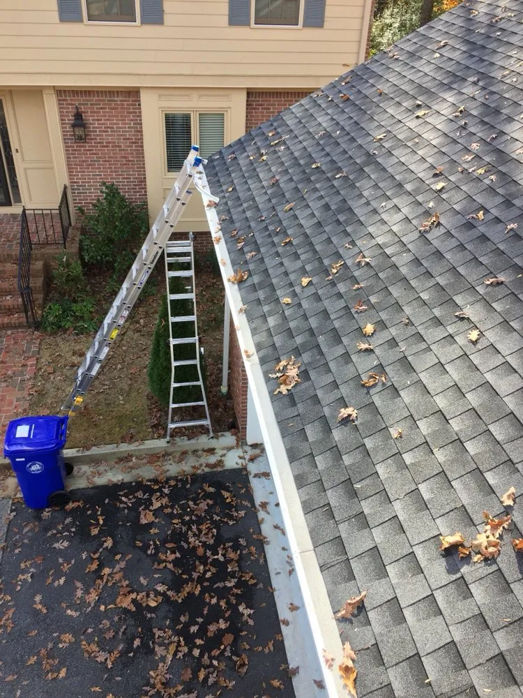 Slide of Leaf It to the Pros