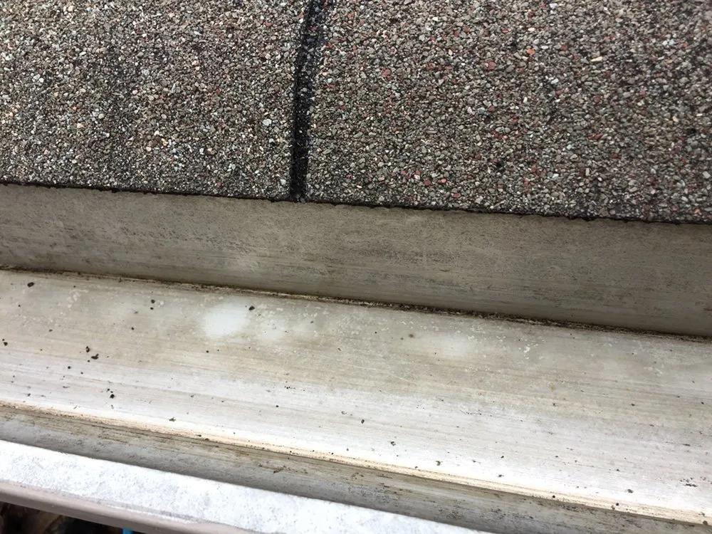 Slide of Leaf It to the Pros