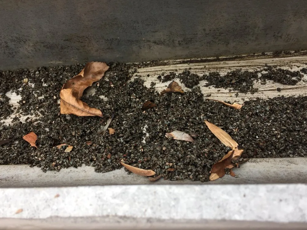 Slide of Leaf It to the Pros