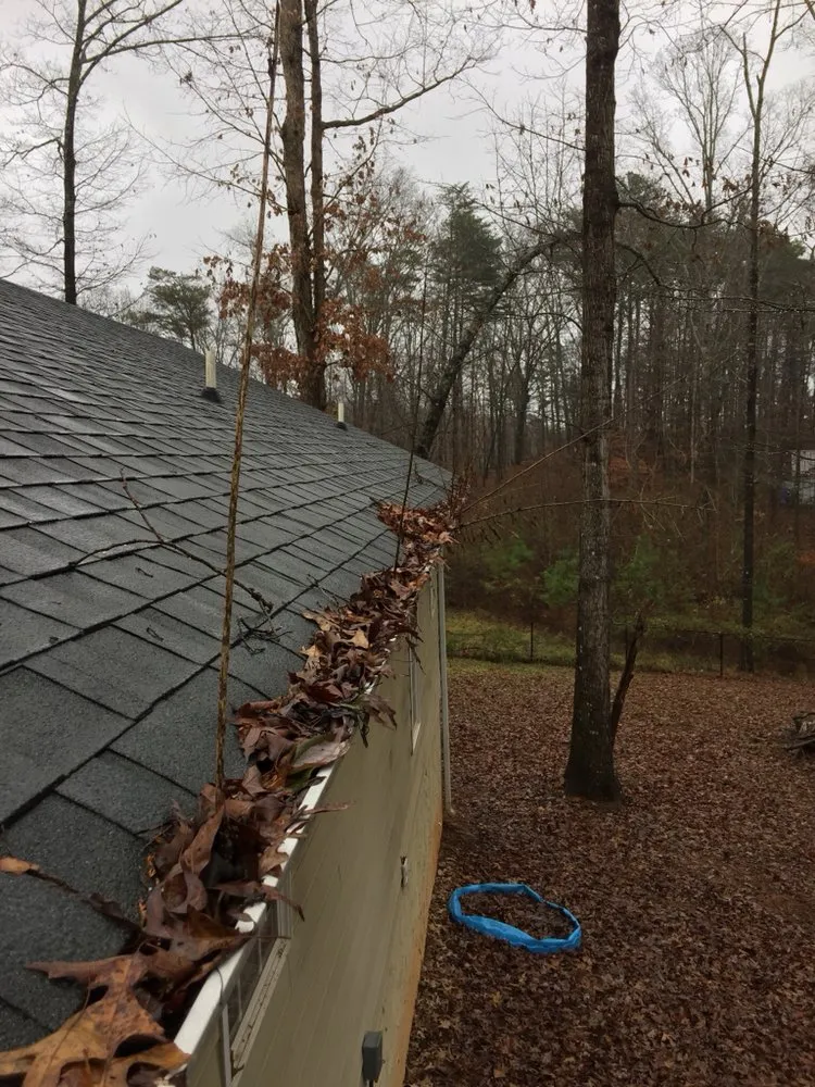 Slide of Leaf It to the Pros