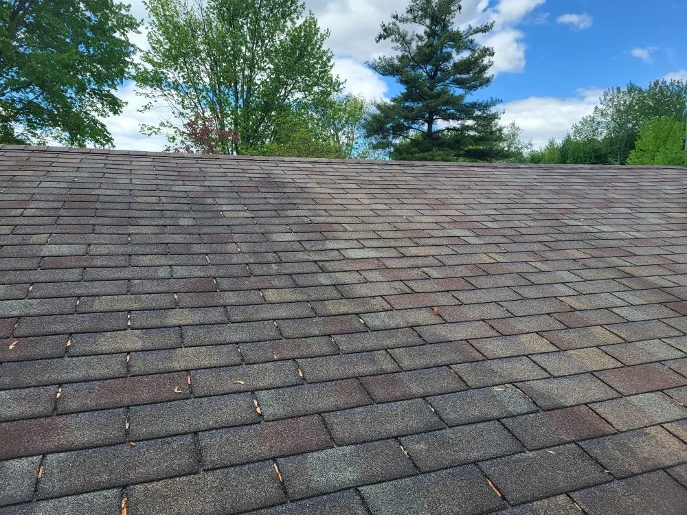 Slide of Leaf Maxx Home Solutions