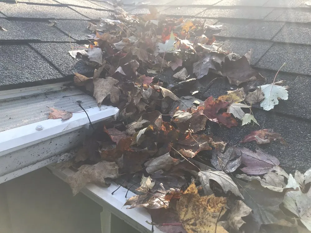 Slide of LeafFilter North of New York