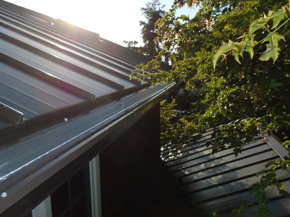 Slide of Leafless in Seattle