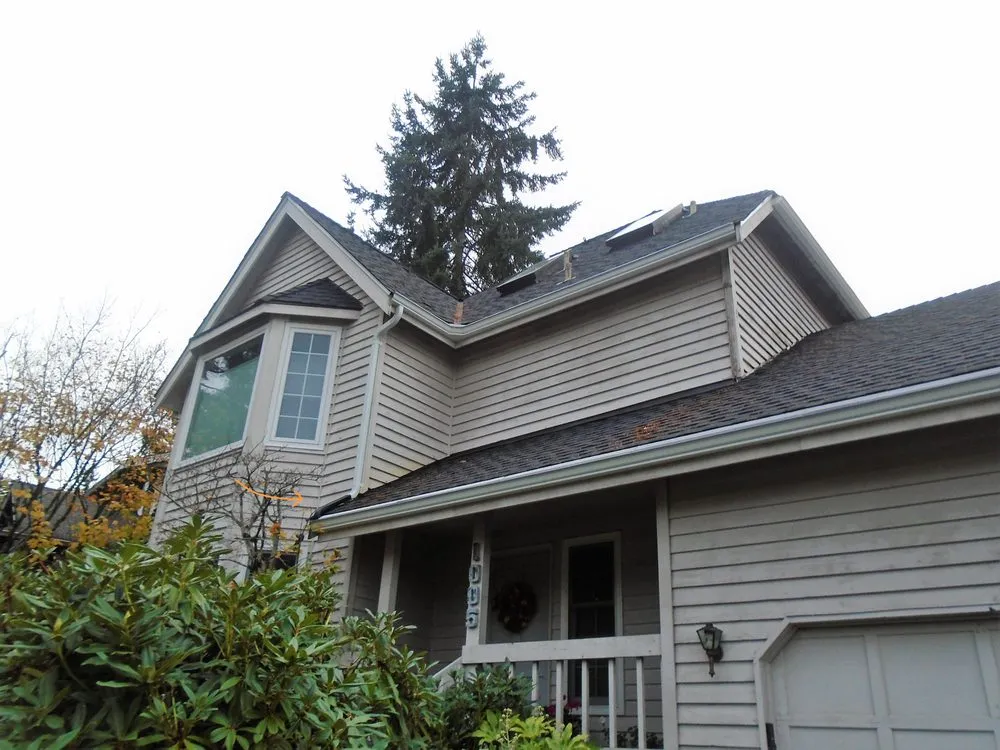 Slide of Leafless in Seattle