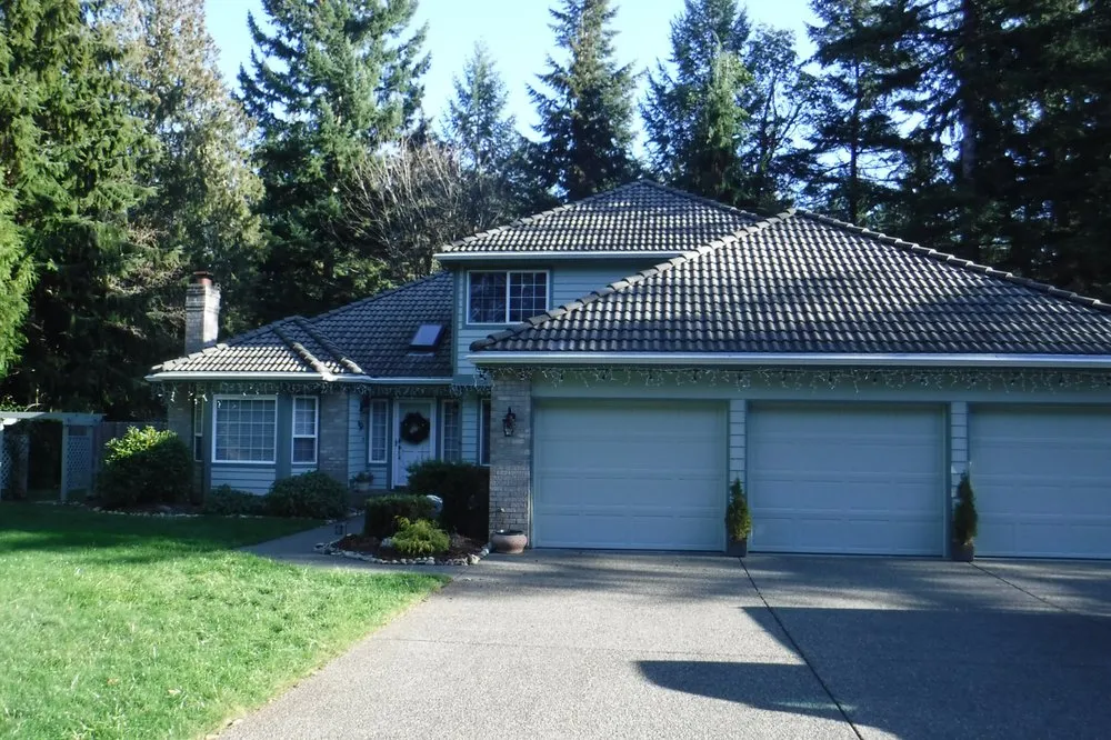 Slide of Leafless in Seattle