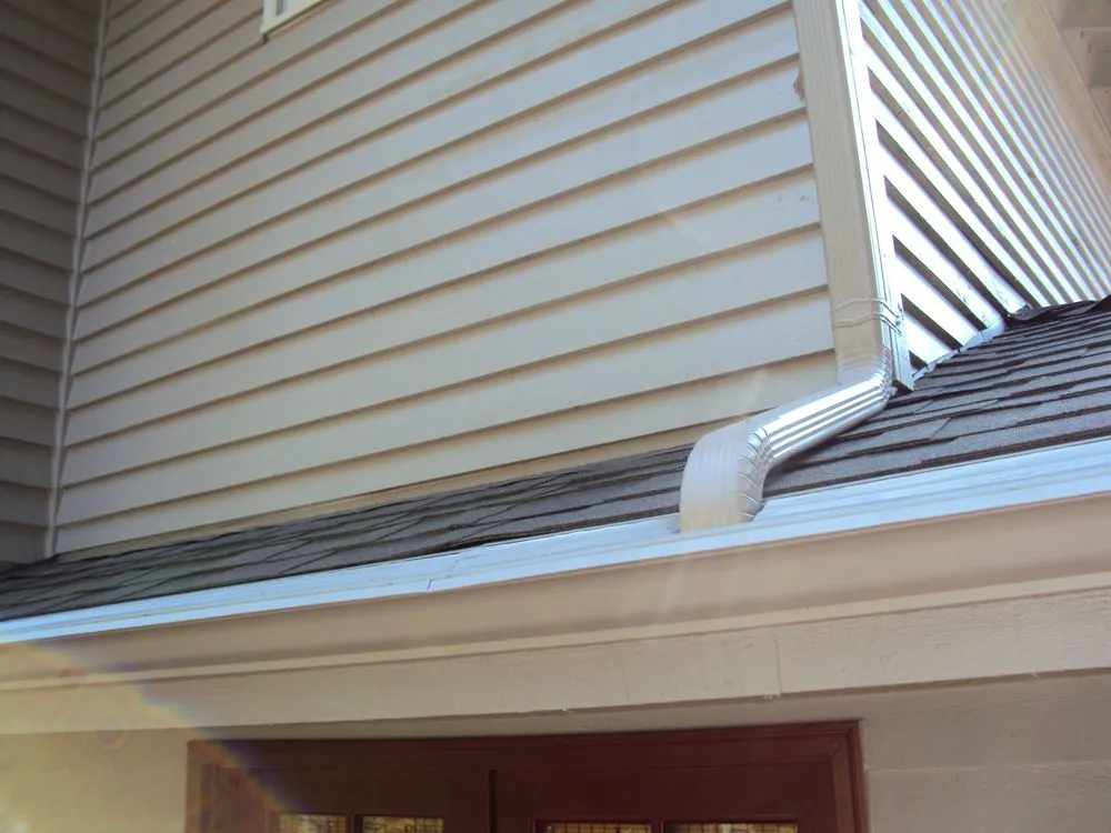 Slide of Leafless in Seattle