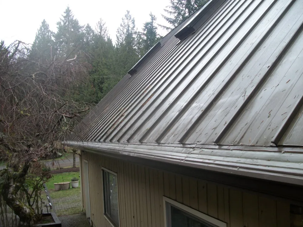 Slide of Leafless in Seattle