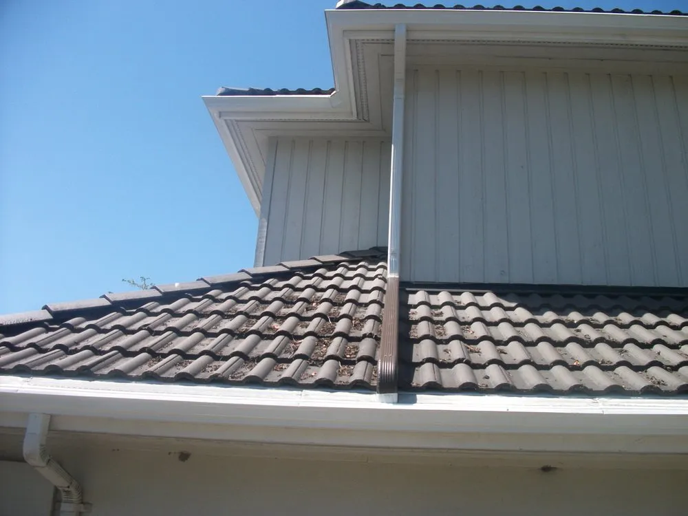 Slide of Leafless in Seattle