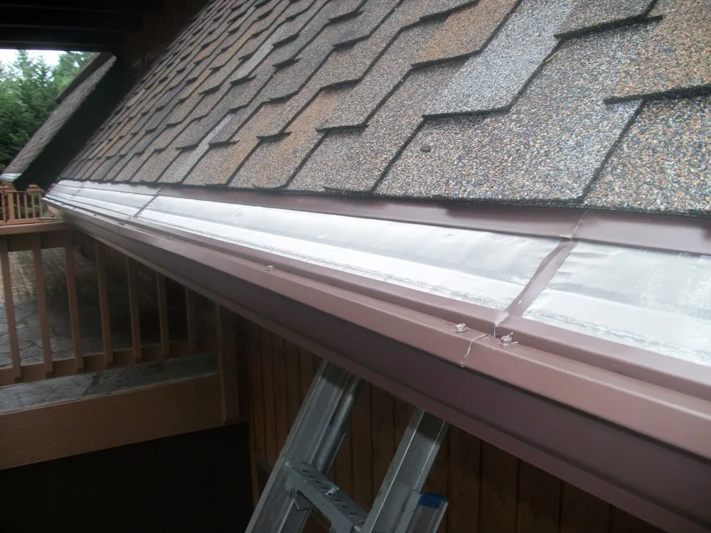 Slide of Leafless in Seattle