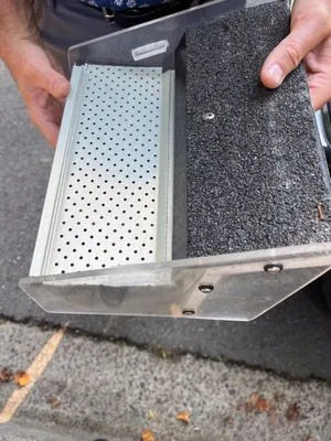 Leafless in Seattle Logo