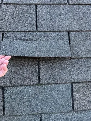 Leafmasters Construction Logo