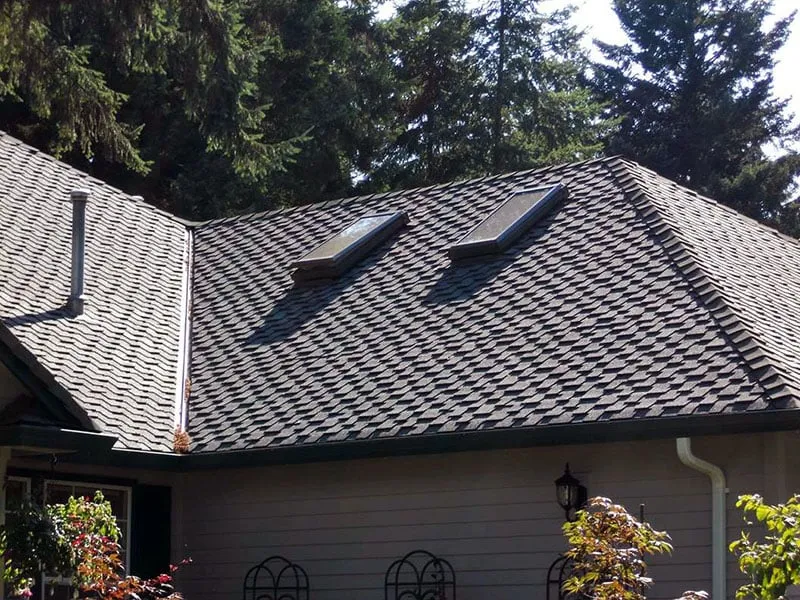 Slide of Leak Seal Roofing