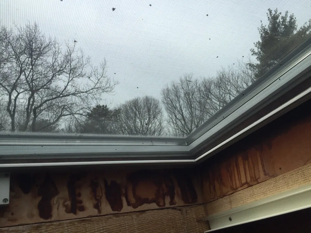 Slide of Leak Stoppers