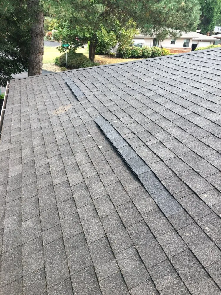 Slide of Leakchasers Inc