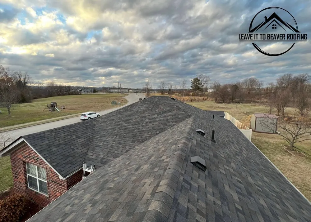 Slide of Leave It To Beaver Roofing