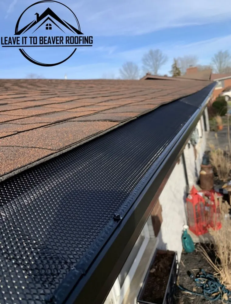 Slide of Leave It To Beaver Roofing