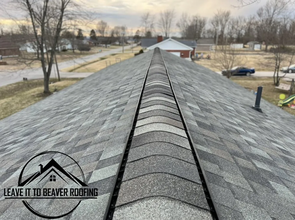 Slide of Leave It To Beaver Roofing