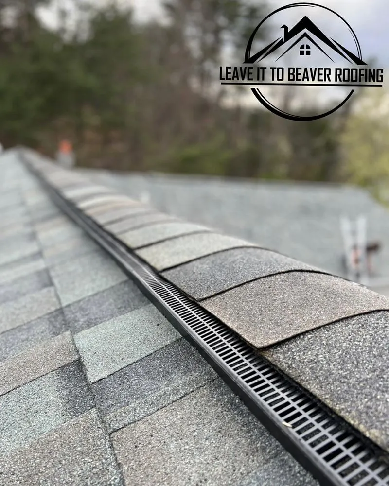 Slide of Leave It To Beaver Roofing