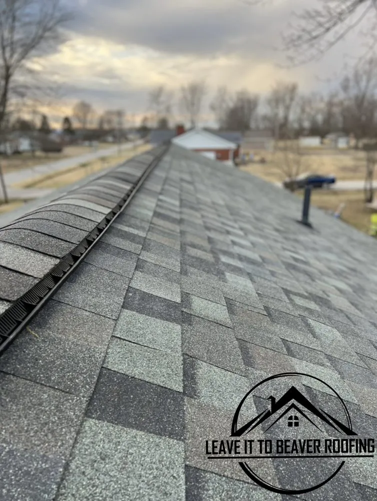 Slide of Leave It To Beaver Roofing