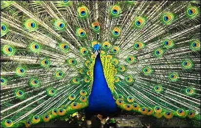 Slide of Lednor Home Solutions