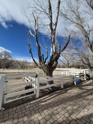Lee Roofing and Renovation Logo