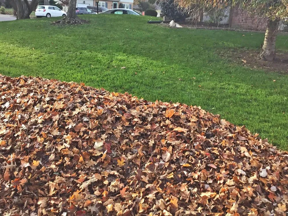 Slide of Lee’s Gutter Cleaning