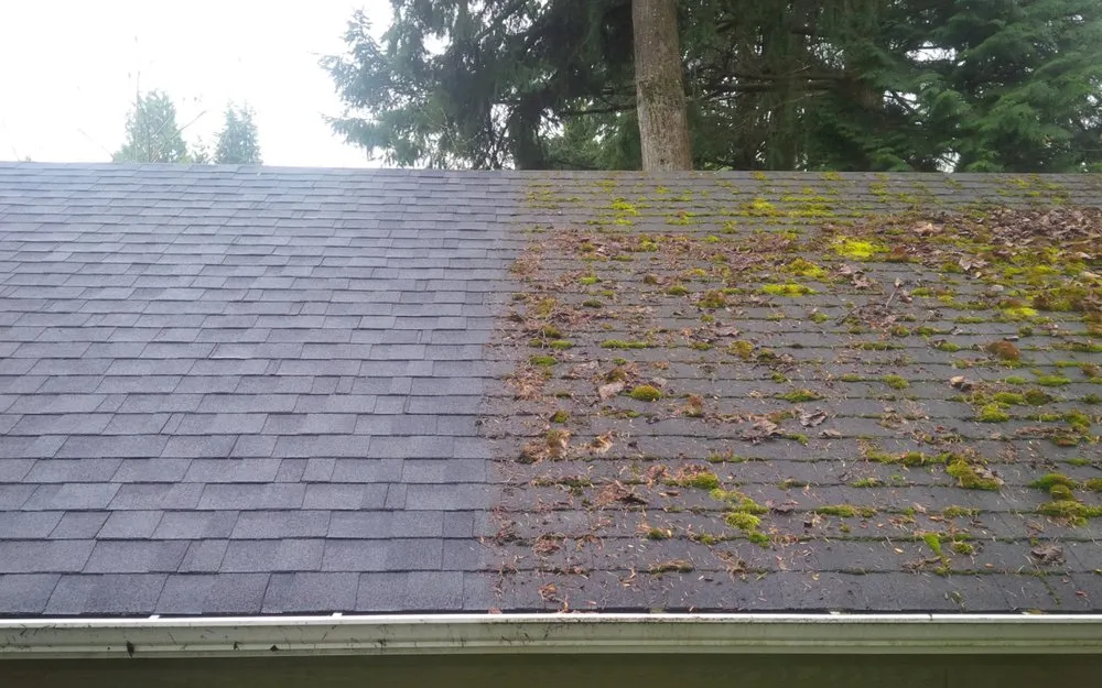 Slide of Lee’s Gutter Cleaning