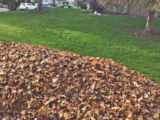 Lee’s Gutter Cleaning