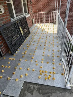 Legacy Home Construction Logo