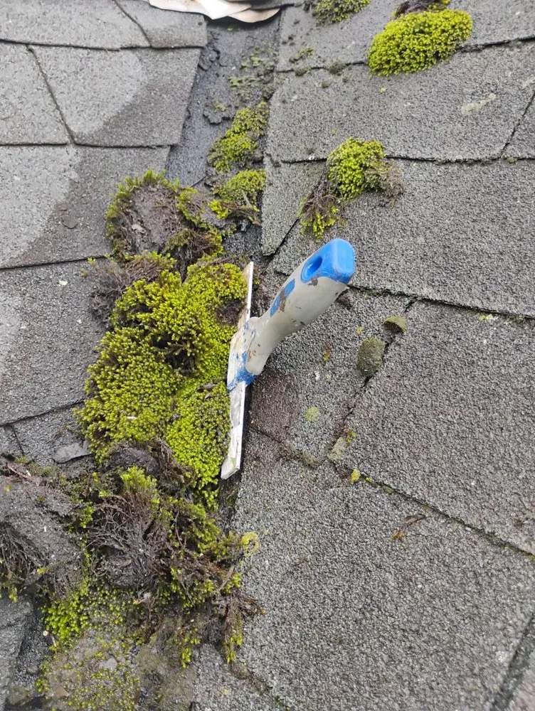 Slide of Lema Rooofing