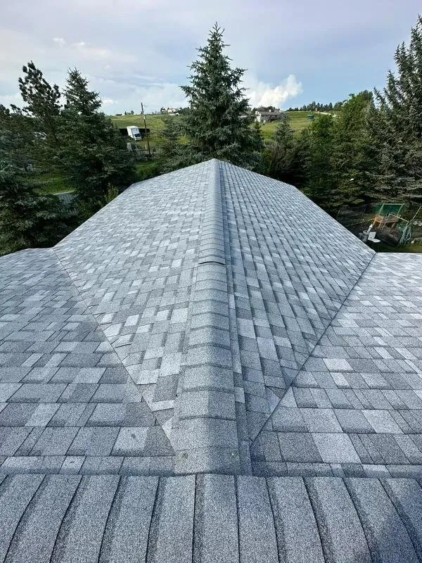 Slide of LEMT Roofing