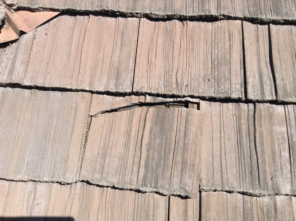 Slide of Lemus Roofing