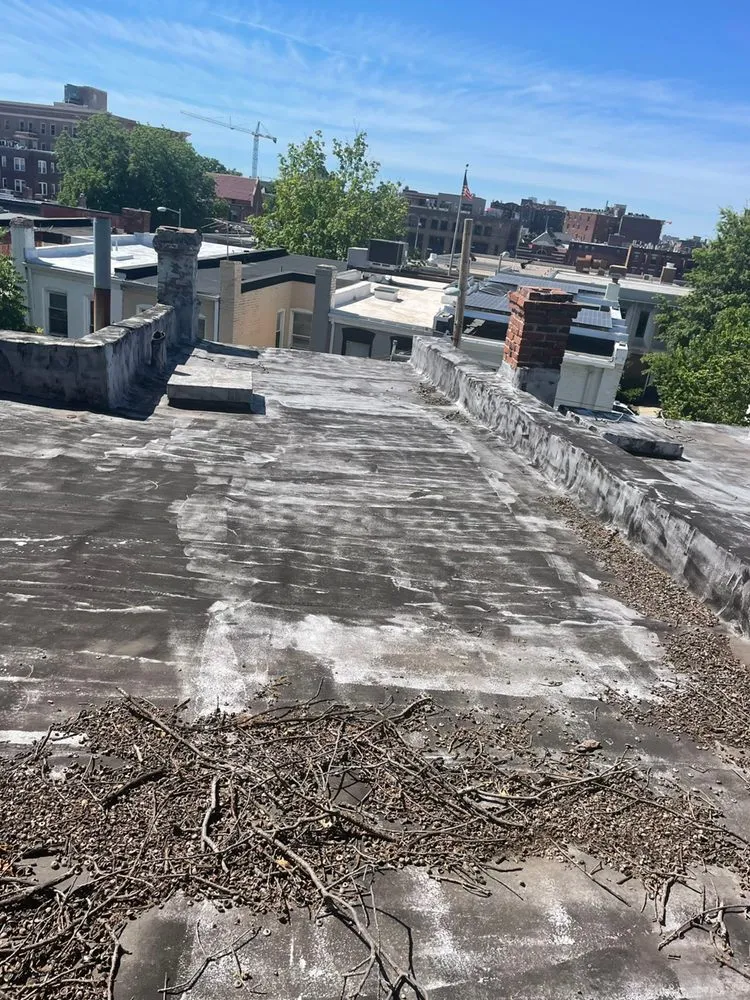 Slide of Len Home Design