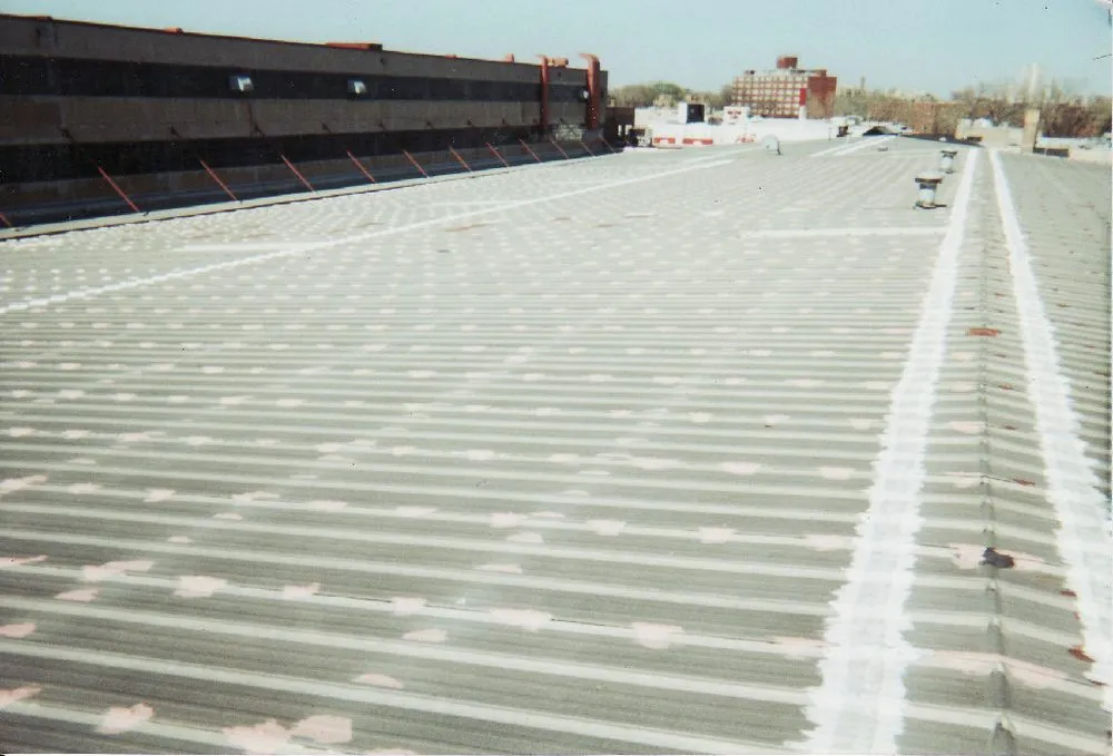 Slide of Len the Roofer - The Roof Coating Experts