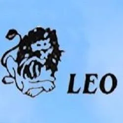 Leo Contracting