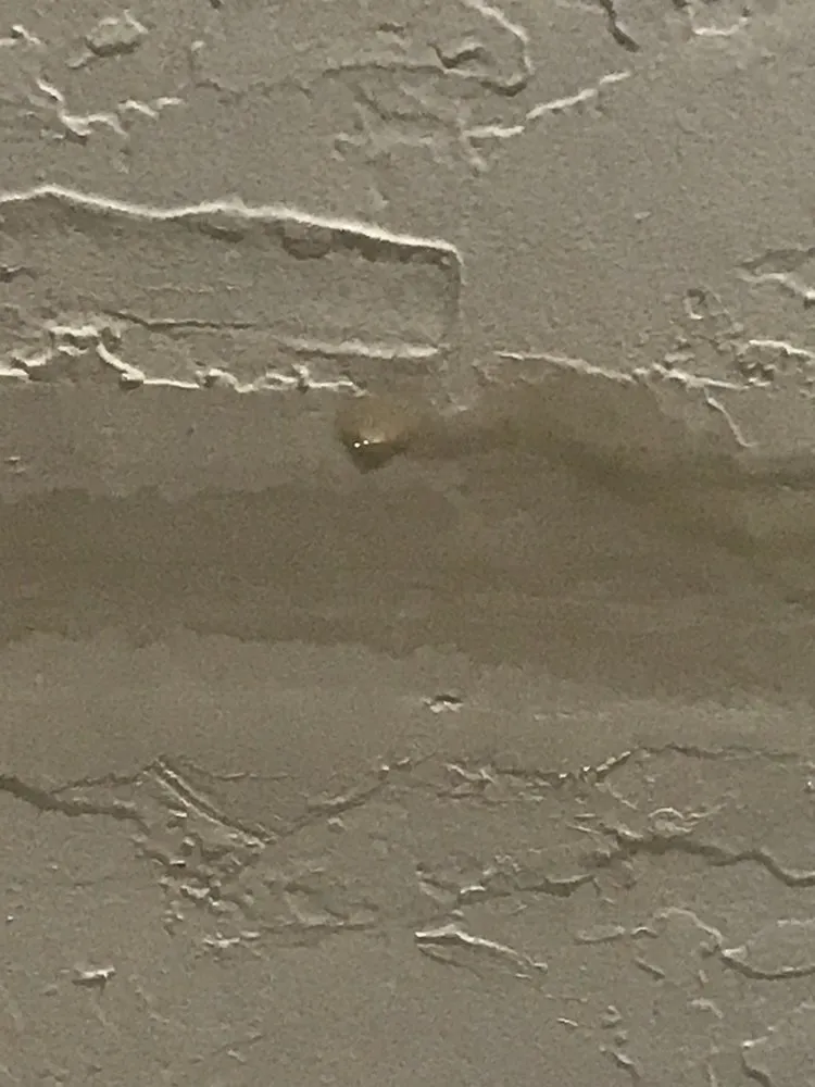 Slide of Leo Roofing