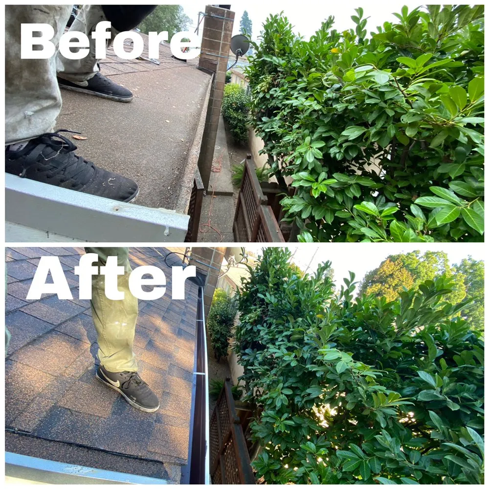 Slide of Leon Brothers Roofing