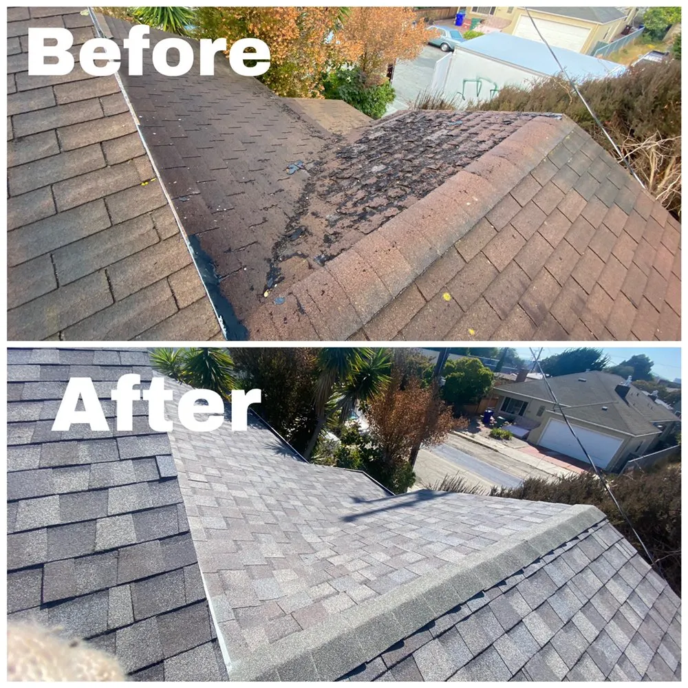 Slide of Leon Brothers Roofing