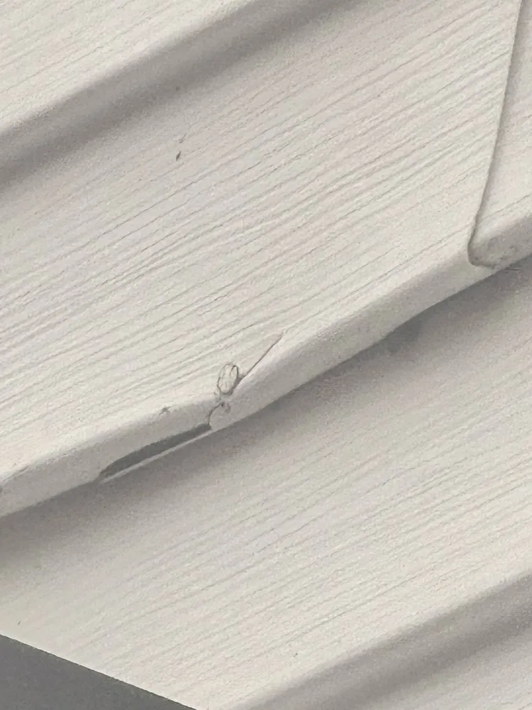 Slide of Leon Point Construction