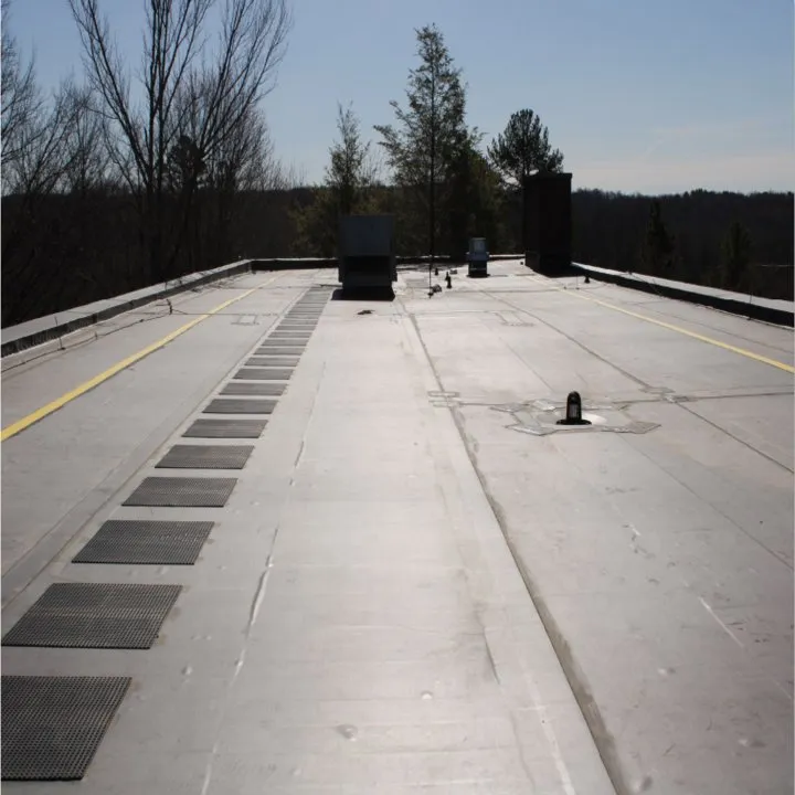 Slide of Leonard Roofing