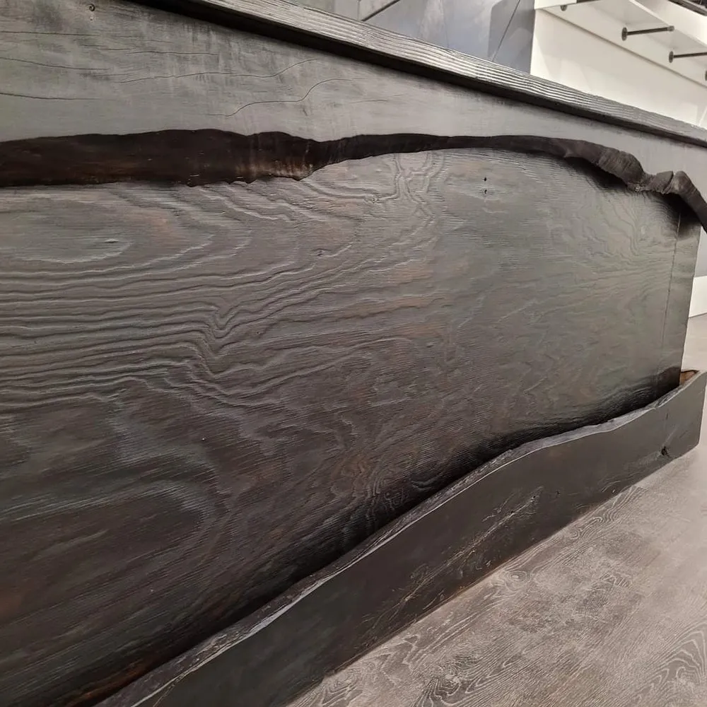 Slide of Leonic Collective